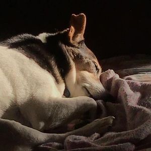 Meet your Posher, Wendy